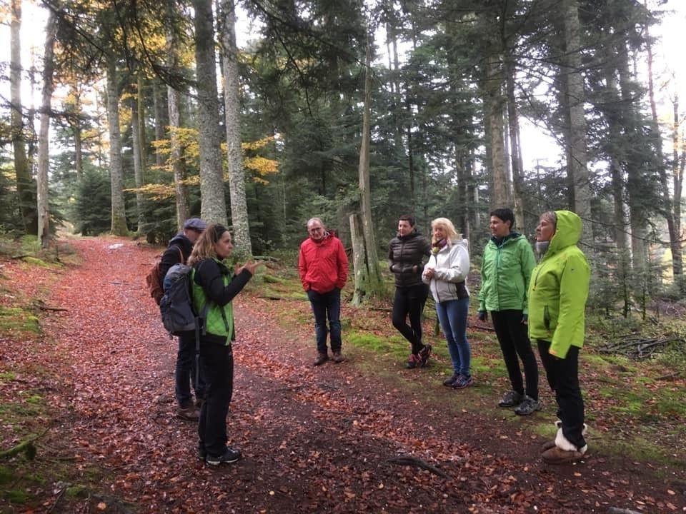 accompagnateur vosges