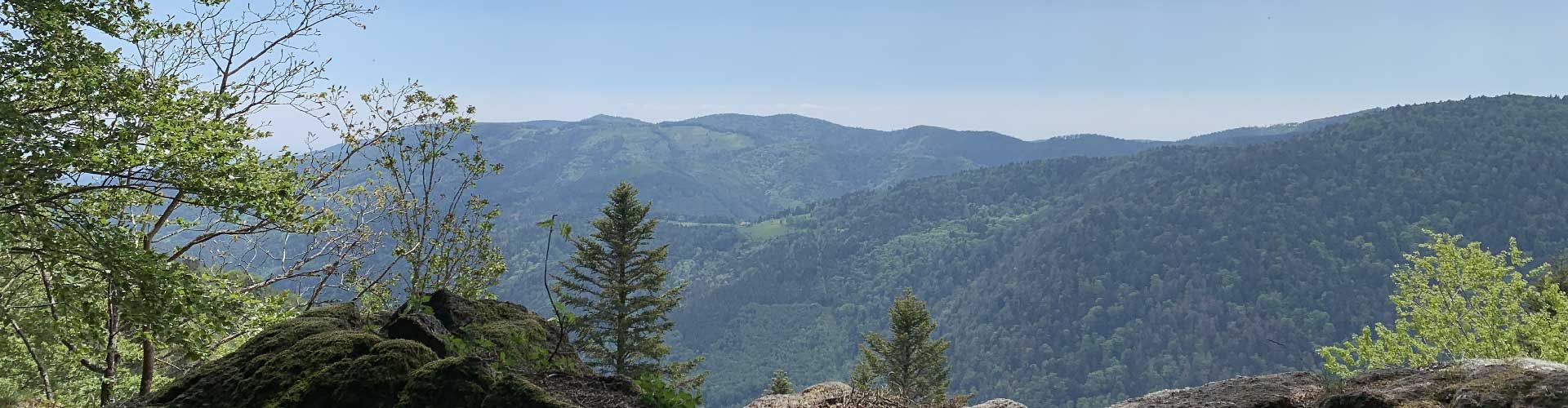 accompagnateur vosges